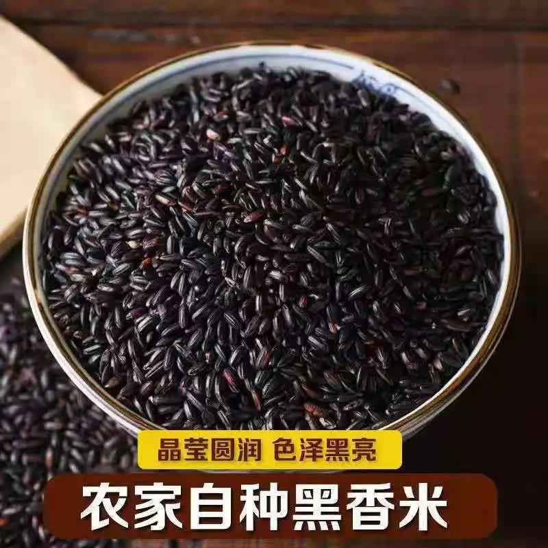 东北正宗农家黑米批发五谷杂粮黑香米煮粥黑大米糙米家用