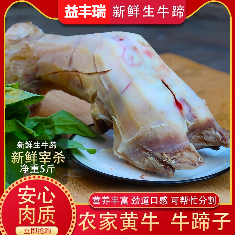 新鲜现杀带骨黄牛蹄子5斤牛蹄筋牛脚蹄筋牛爪整只红烧凉拌牛肉