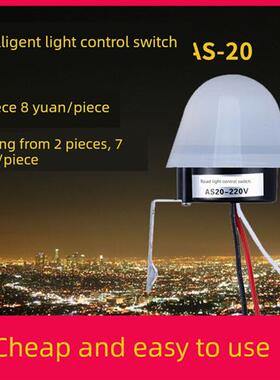 路灯光控开关AS-20智能防雨型光感全自动延时12V感应控制器220V