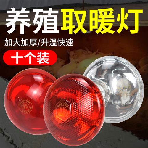 红外线保暖灯仔猪红外线灯泡取暖灯畜牧保温灯泡养殖场专用保暖灯