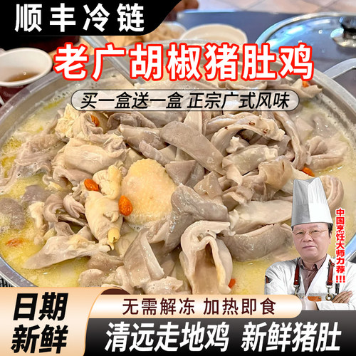 正宗广式胡椒猪肚鸡预制菜即食