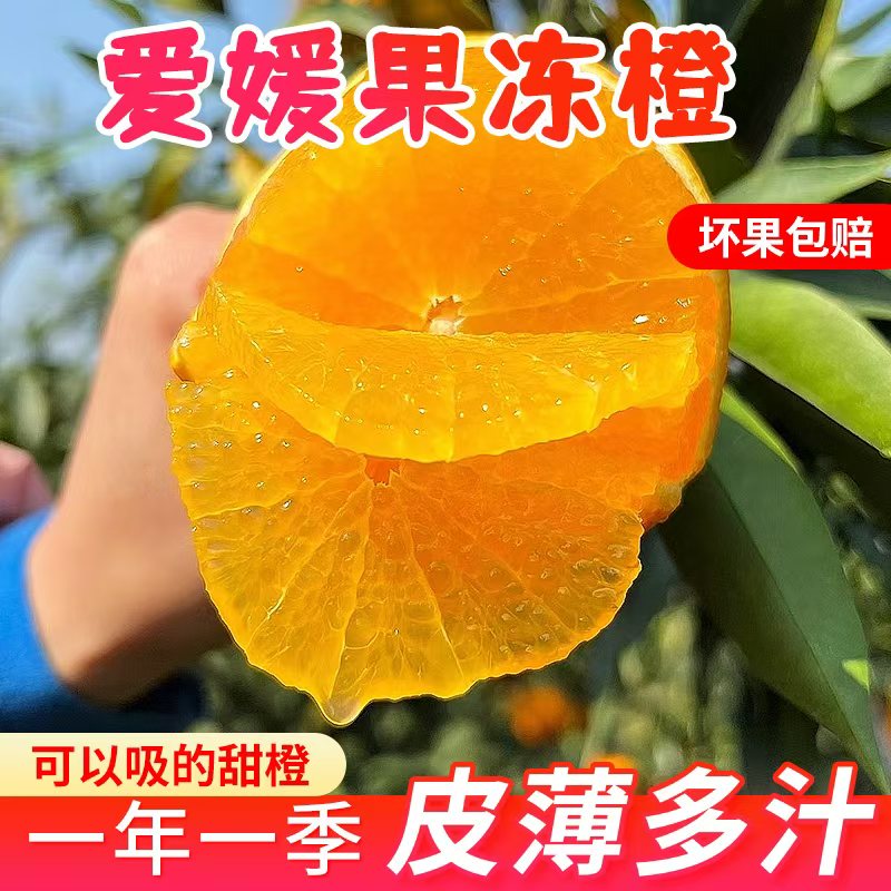 四川眉山爱媛38号果冻橙香甜可口