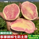 9斤 云南七彩土豆新鲜马铃薯红皮花心洋芋紫红土豆新挖1