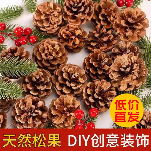 天然松果圣诞DIY装饰材料