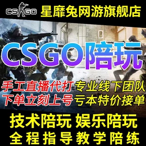CSGO Plays, обучение, обучение технологии развлечений, женский сопутствующий профессиональный брат 5e Perfect B5 Официальный автомобиль счастливой девочки