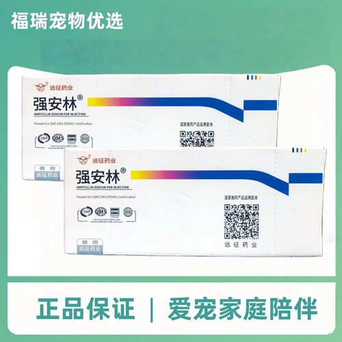强安林氨苄西林钠注射液0.5g宠物远征强安林兽药10支/盒猫狗通用