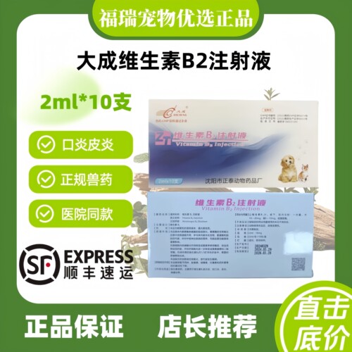 大成维生素B2注射液2ml十支维生素类药口炎皮炎角膜炎医院同款