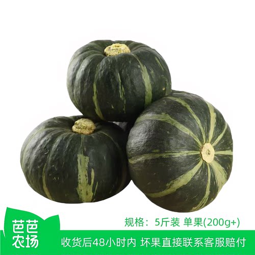 正宗粉糯贝贝南瓜5斤包邮