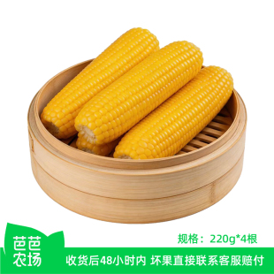 黄糯玉米4棒 芭芭农场兑换