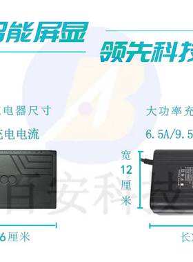速珂soco电动车TS/TC/CU/DU/RU/CUmini锂电智能大功率数显充电器