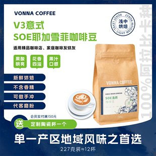 咖啡豆可手冲埃塞俄比亚日晒耶加500g VONNA单一产地V3浅烘SOE意式