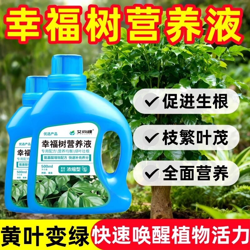 幸福树专用营养液防叶子发黄落叶
