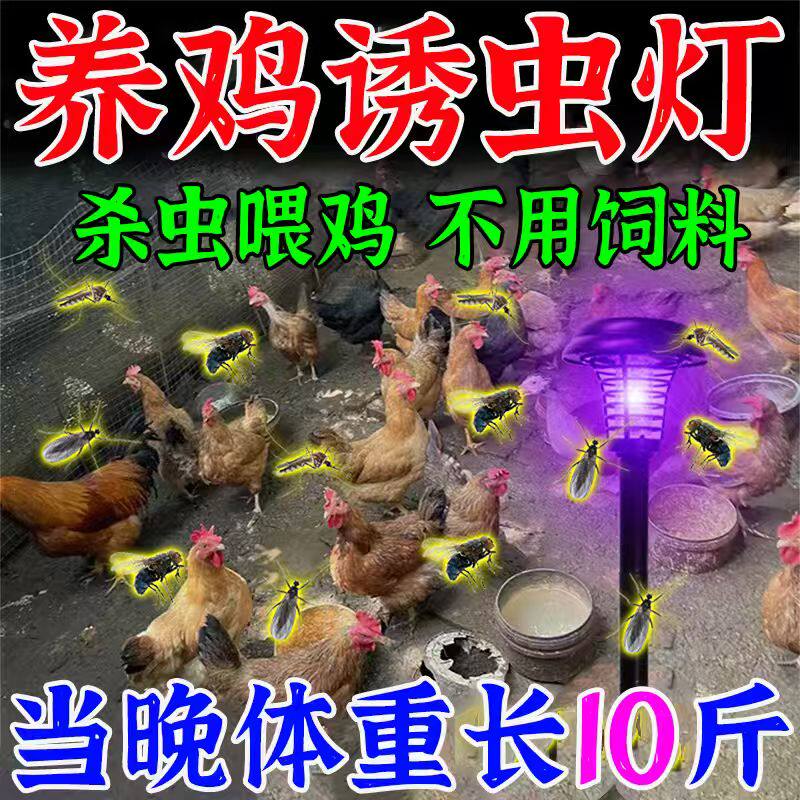 养鸡诱虫灯太阳能灭蚊灯养殖场鸡舍诱飞蛾蚋蝇虻喂鸡户外专用神器