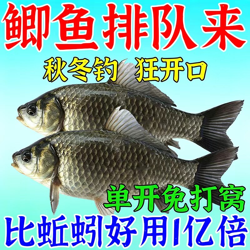 鲫鱼狂咬钩】鲫鱼专用饵料名野钓