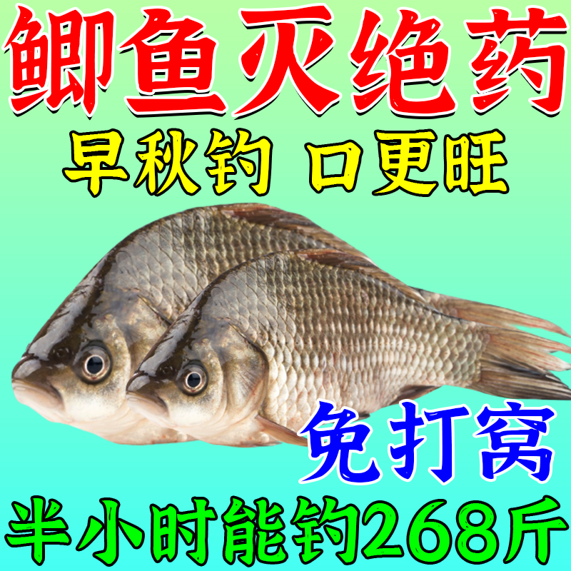 鲫鱼狂咬钩】鲫鱼小药野钓黑坑专