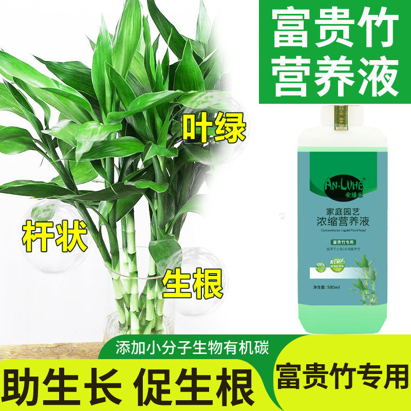 富贵竹专用营养液水培植物生根节节高转运竹水竹观音竹通用型肥料