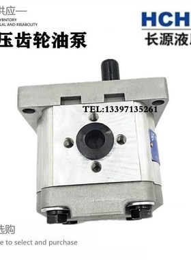 合肥长源齿轮油泵CBW-F304/306/310-AFPL/CLPL/ALP/CLP高压液压泵
