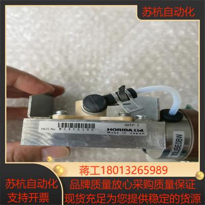 HORIBA 传感器 50TP-1