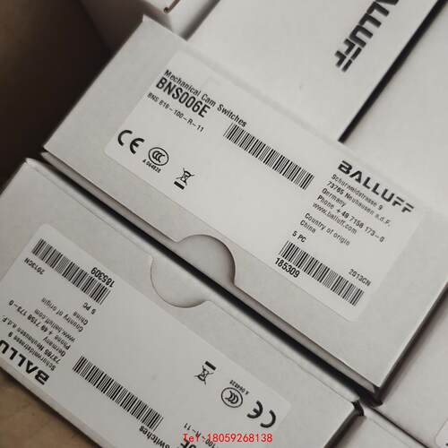 【非标价】巴鲁夫BNS 819-100-R-11
