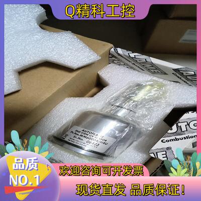 autoflame  MM60004/HSU火焰检测器