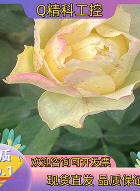 现货康耐视DMR-262X-1540-P