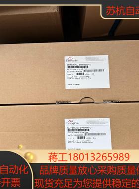 SVTV01TQ1，ENTEGRIS应特格滤芯，现货原装
