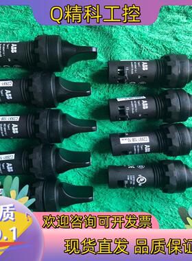 现货原装ABB旋钮C2SS1-10B-10