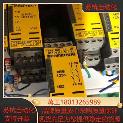 全新原装德国施迈赛SCHMERSAL安全继电器AES 123议价