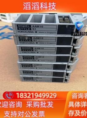 现货YOKOGAWA横河AAM10  S1原装7片打