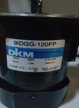 DKM电机，9IDGG-120FP