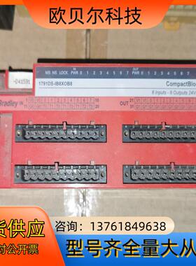 1791DS-IB8XOB8罗克韦尔PLC模块