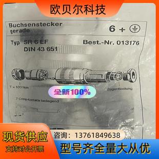 SR6EF 013176 安士能EUCHNER安全门开关 接