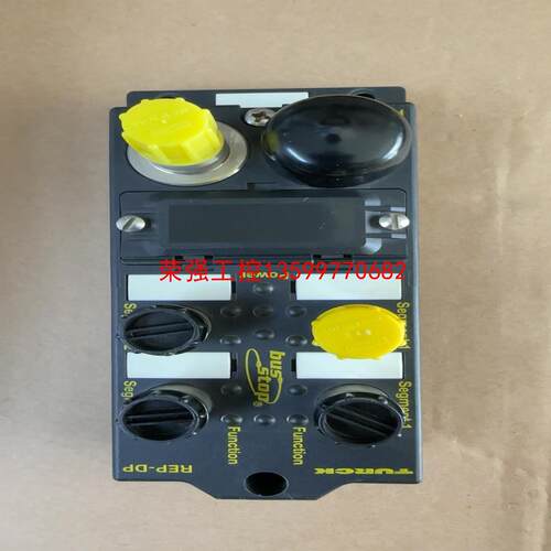 【荣强工控】图尔克总线模块REP-DP0002 拆机成色漂亮，包好