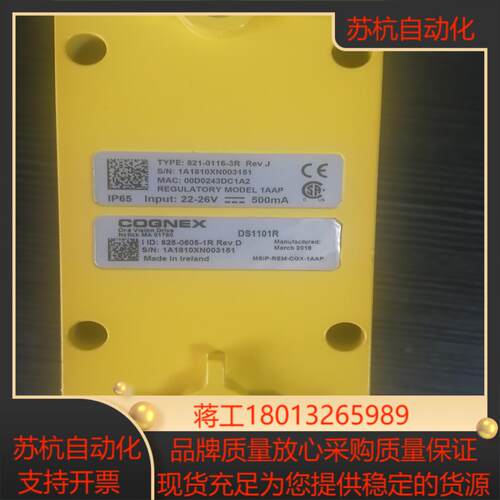 COGNEX三维激光轮廓仪DS1101R议价