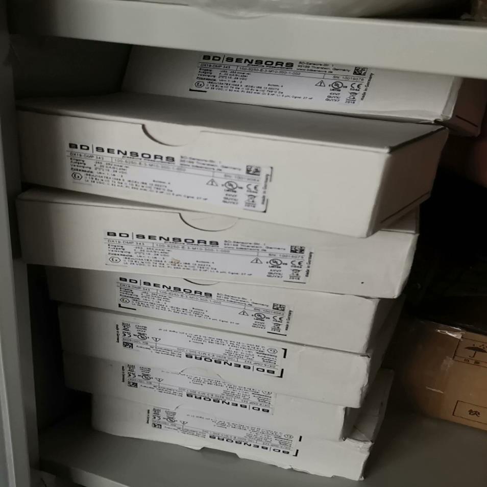 德国 BD SENSOR  DX19-DMP343 100-