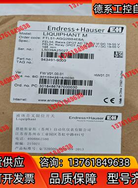 EndressHauser 音叉Order code：FT