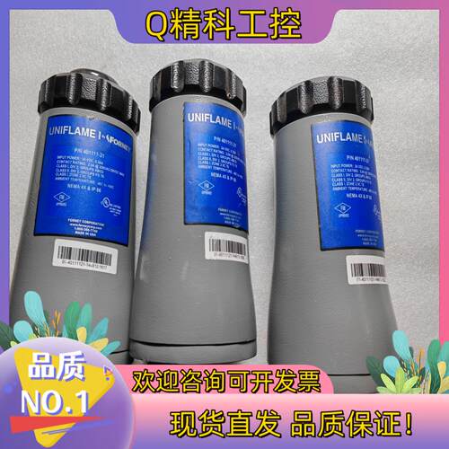 现货401111-21 原产 FORNEY 火检传感器 全新