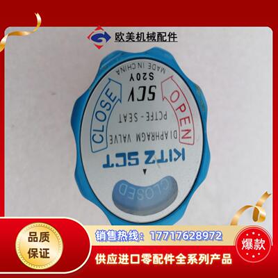 KITZ SCT手动阀10K-1/4 VLD EP 316L