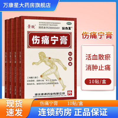 【景致】伤痛宁膏10贴/盒