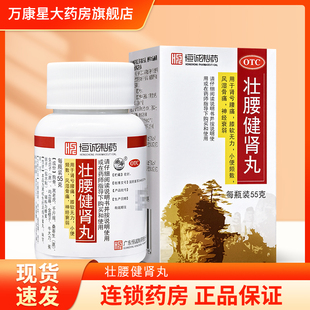 恒诚制药 壮腰健肾丸 55g 用于神经衰弱风湿骨痛膝软无力小便频数