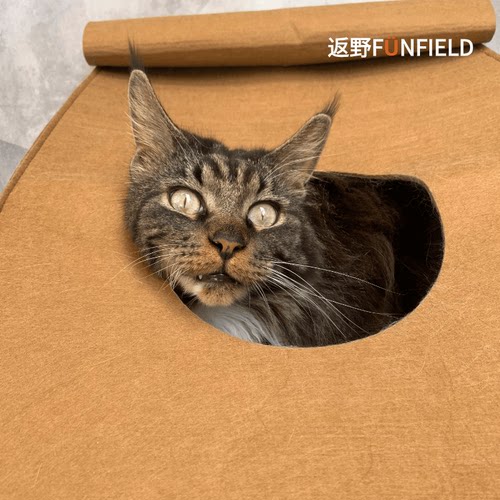 返野猫窝毛毡可清洗便携
