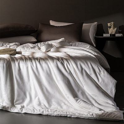 2025新款100桑蚕丝长丝绵蚕丝被轻奢高端二合一子母被四季通用