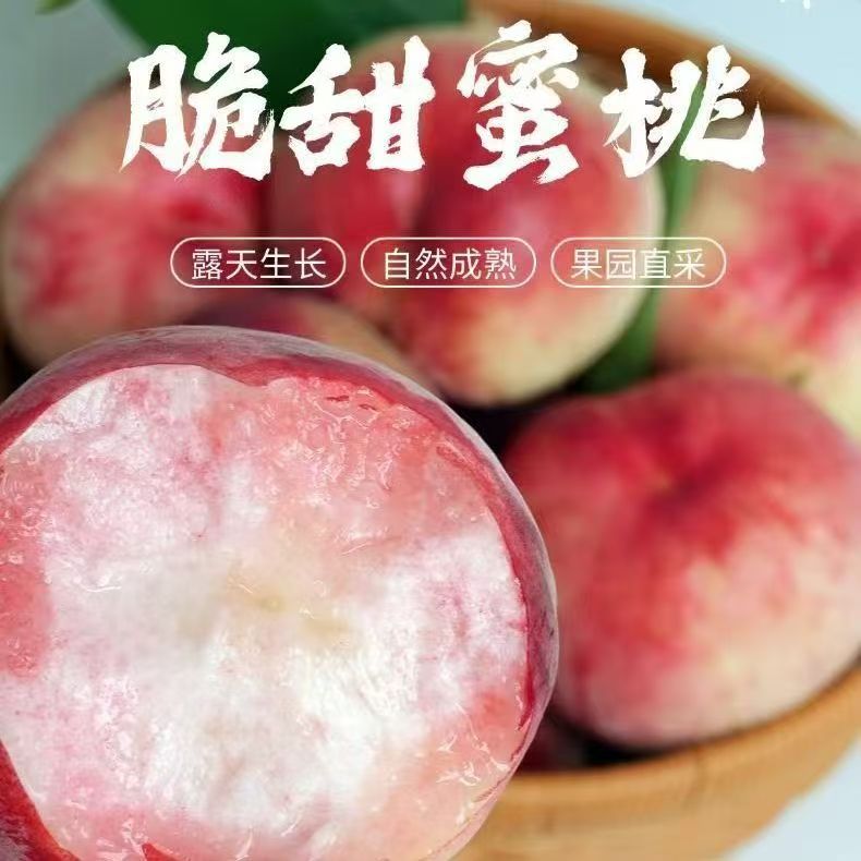 山西红不软脆桃脆甜可口新鲜水果毛桃水蜜桃