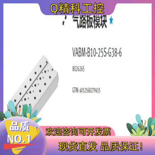 现货8026265   VABM-B10-25S-G38-6费斯