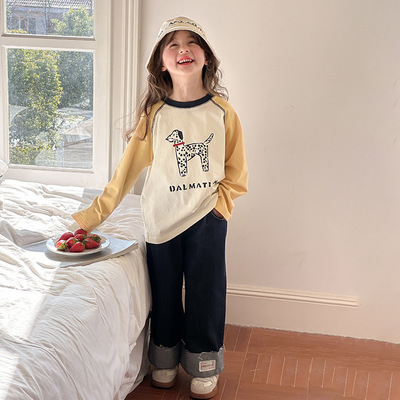 2025年秋款儿童 高品质单面 卡通插肩打底衫女童T恤   25A044