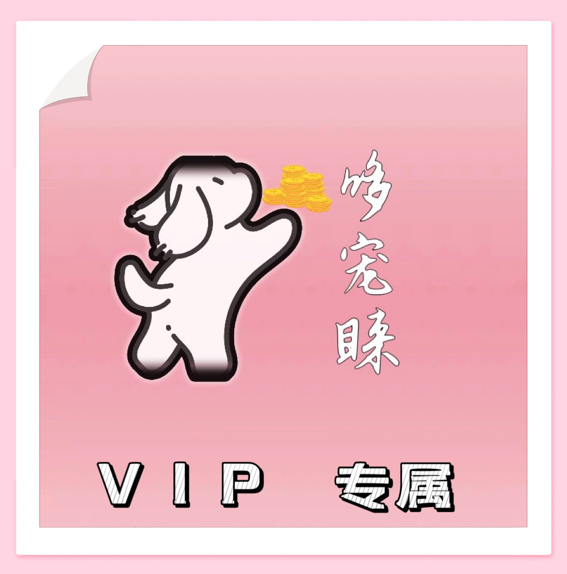 哆宠睐 VIP专属服务