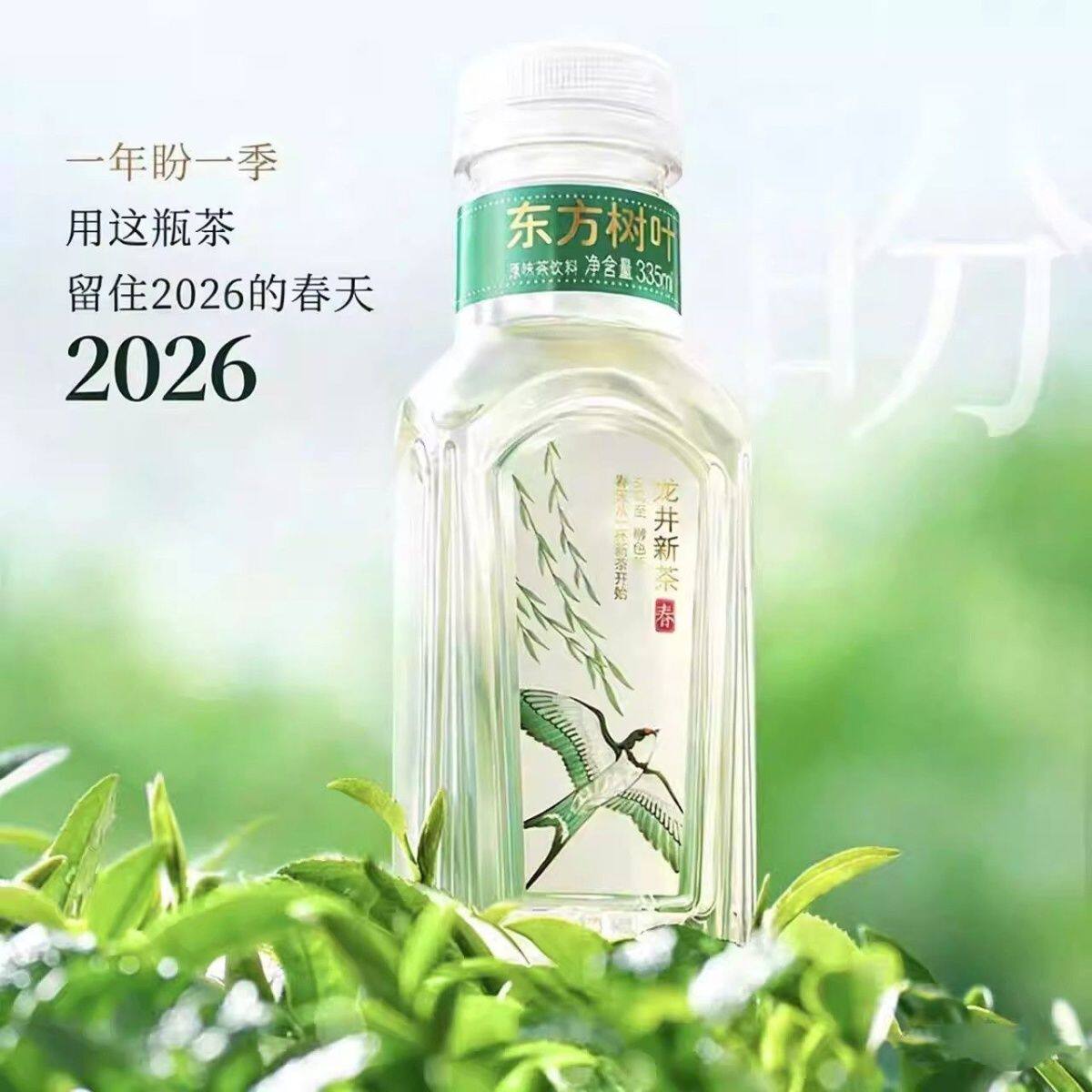 【限定】东方树叶明前龙井新茶2026春季限定明前绿茶农夫山泉正品