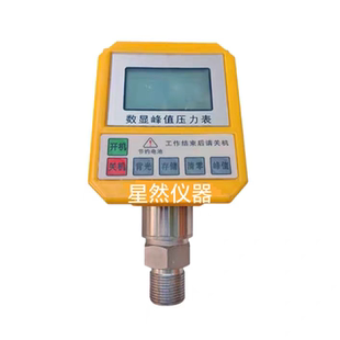 YS数显峰值压力表 锚杆拉拔仪数显峰值仪表 饰面砖拉力计峰值仪表