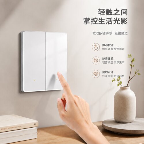 国际电工肤感玻璃二开双控开关