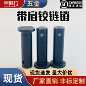 MIB01带肩铰链销HCMG3